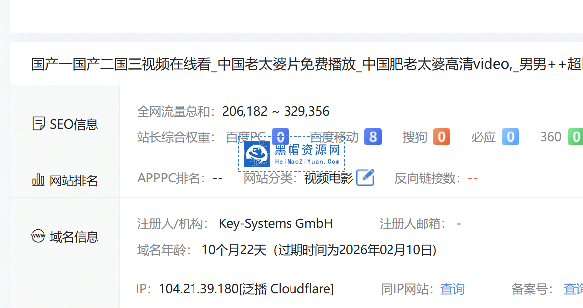 D58SEO新影视只做手机权重高权重泛蜘蛛单站群程序